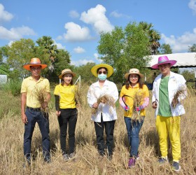 กิจกรรมร้อยดวงใจเกี่ยวข้าวตามรอยพ่อ เพื่อสืบสานประเพณีลงแขกเกี่ยวข้าวฯ ณ ศูนย์การเรียนรู้เศรษฐกิจพอเพียง หมู่ที่14